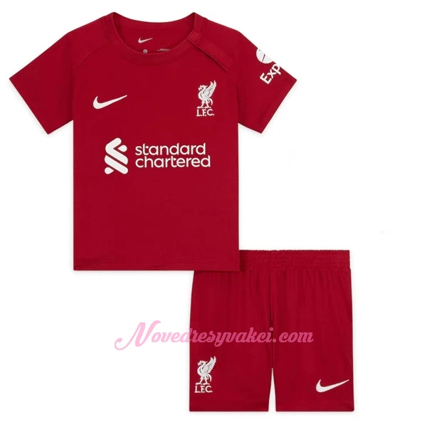 Fotbalové Dresy Liverpool FC Dětské Domácí 2022-23