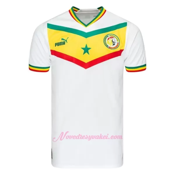 Fotbalové Dresy Senegal Domácí MS 2022