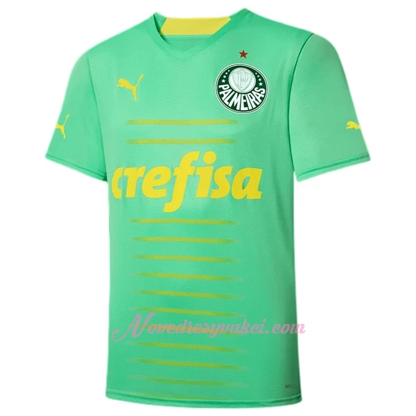 Fotbalové Dresy Palmeiras Alternativní 2022-23