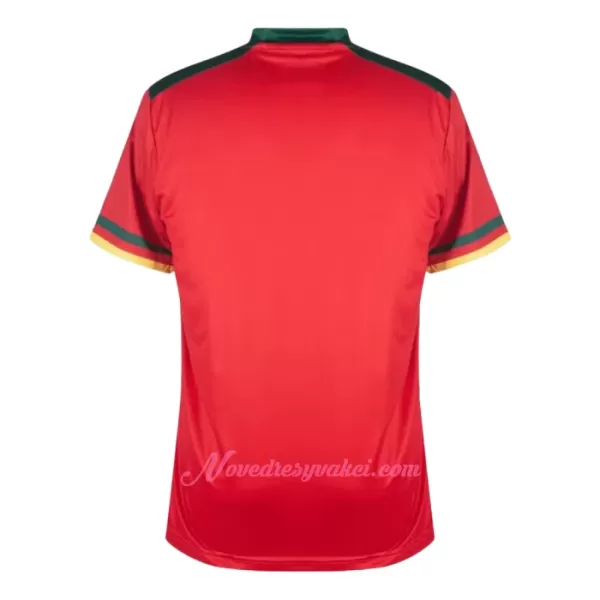 Fotbalové Dresy Kamerun Alternativní MS 2022