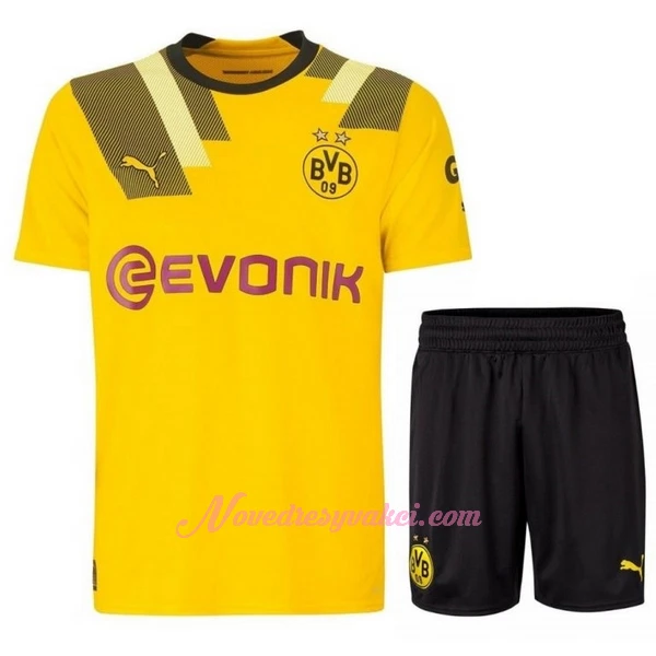 Fotbalové Dresy Borussia Dortmund Dětské Alternativní 2022-23