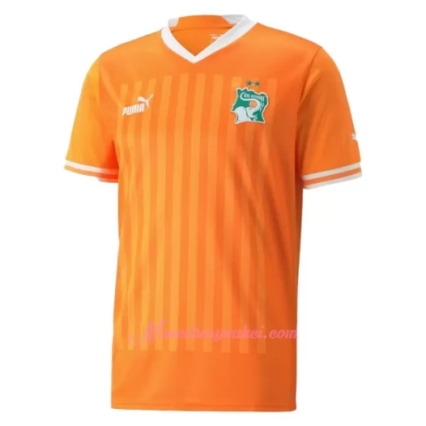 Fotbalové Dresy Pobřeží Slonoviny Domácí 2023-24