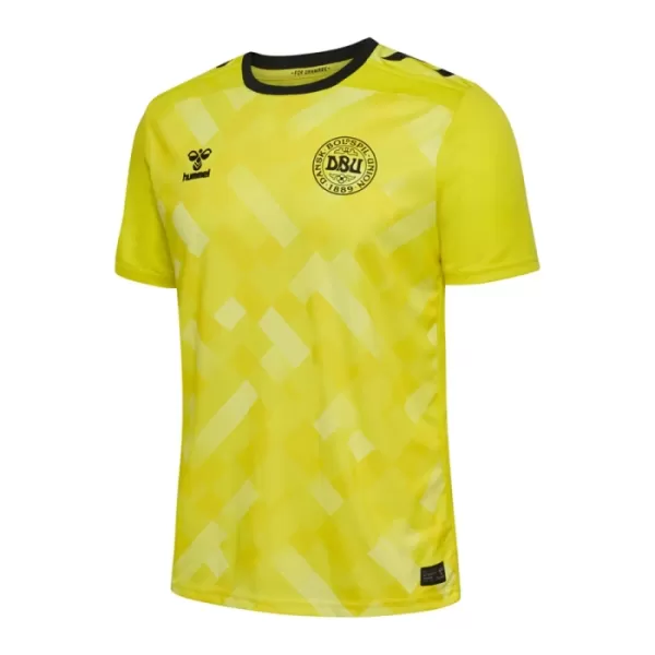 Brankářské Fotbalové Dresy Dánsko ME 2024 Žlutá