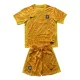 Brankářské Fotbalové Dresy Nizozemsko Dětské ME 2024 Žlutá