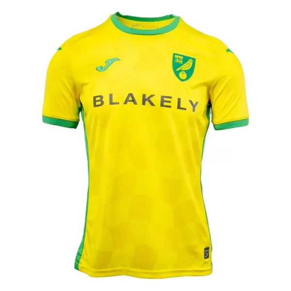 Fotbalové Dresy Norwich City Domácí 2024-25